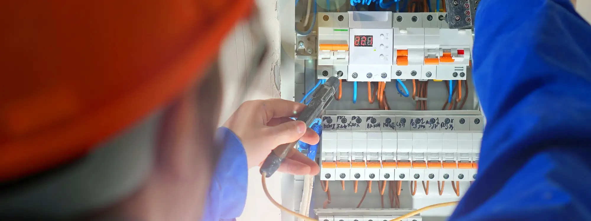 Affordable Landscape Lighting Installation